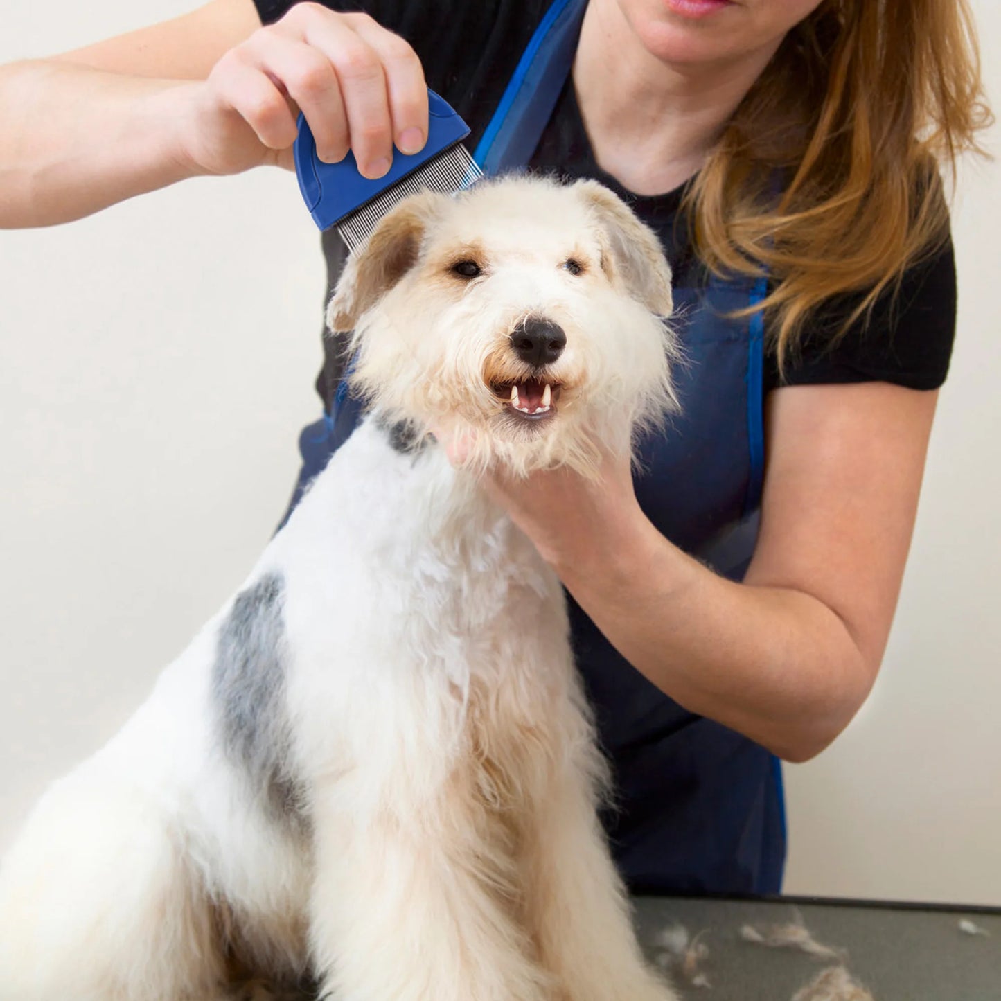 Flea Comb for Cats and Dogs Pet Hair Removal Grooming